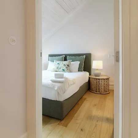 Msc Flat 8